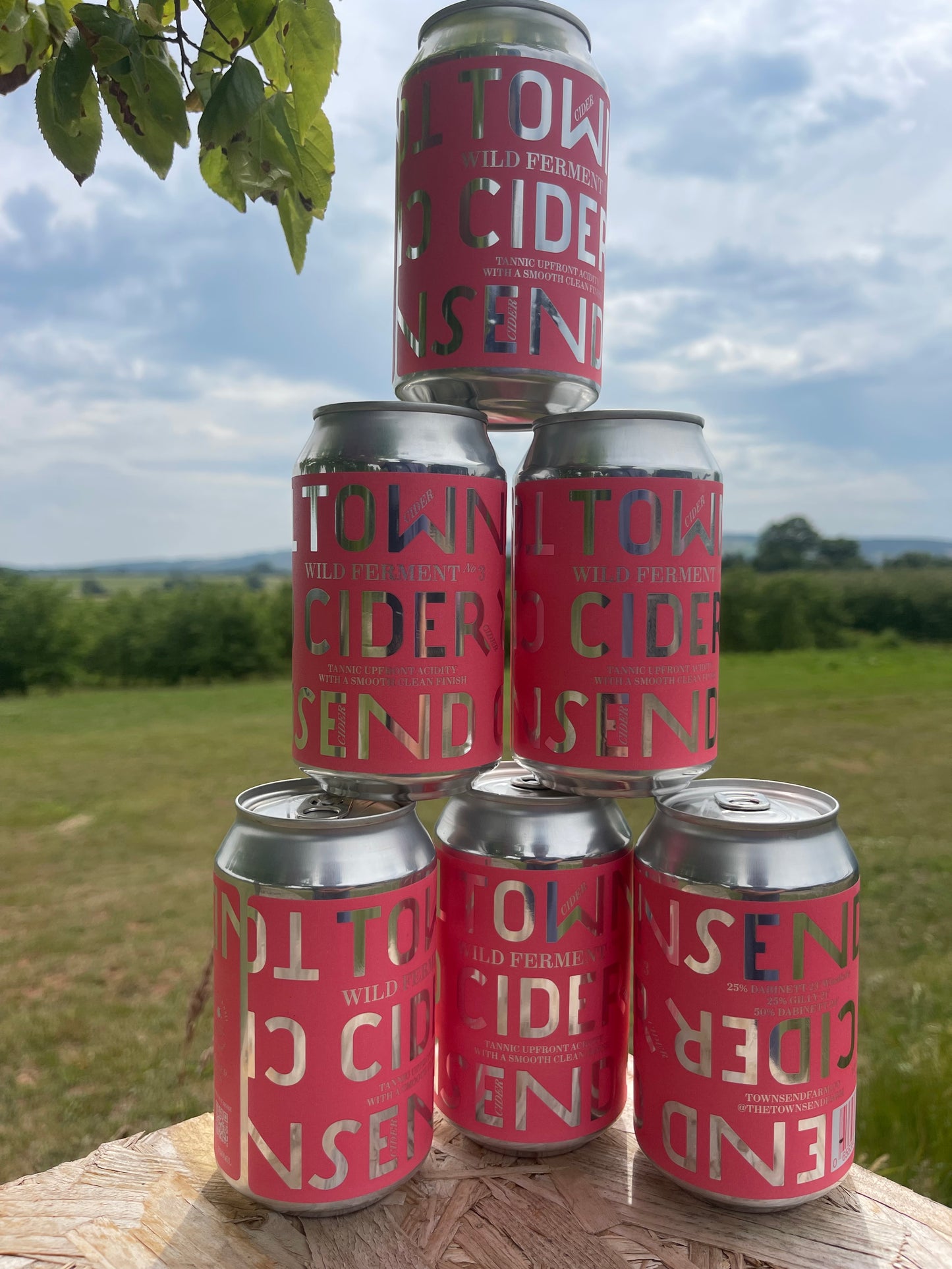 Wild Ferment #3 Cider 330ml x 6